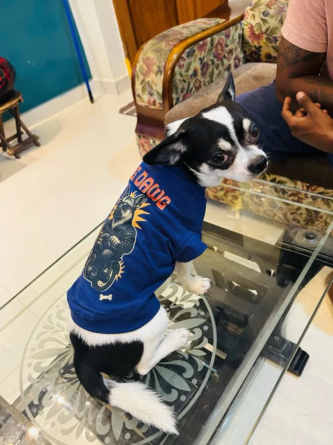 Dog t-shirt